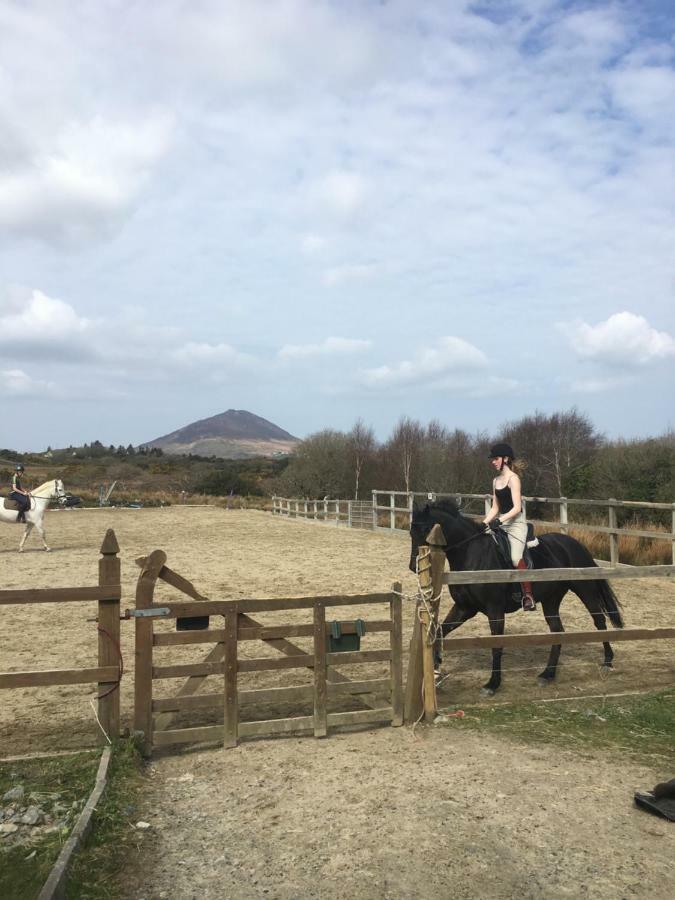 Letterfrack Mountain Farm Cottage On Farm In Village Centre المظهر الخارجي الصورة